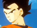 Gohan M&iacute;stico