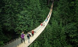 Acceptance of the Ahl al-Bayt's Wilayah is a bridge linking back to their original roots.