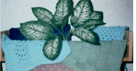 feather/fan