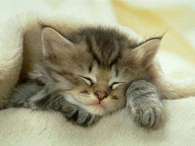 Muffy was a baby once!