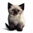 dude&nbsp;&nbsp; its a cat