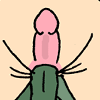 A thumbnail for an image Gallery