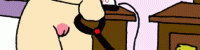A thumbnail for an image Gallery