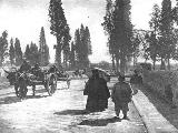 Kervan K�pr�s�