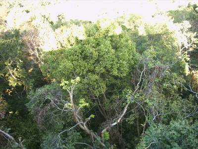 PHTO0177.JPG