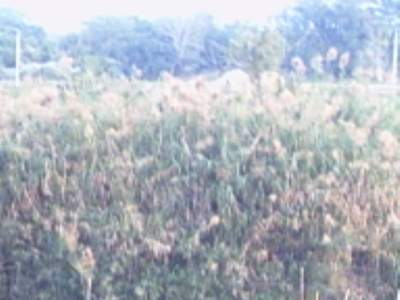 PHTO0215.JPG
