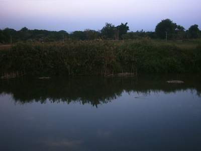 PHTO0216.JPG