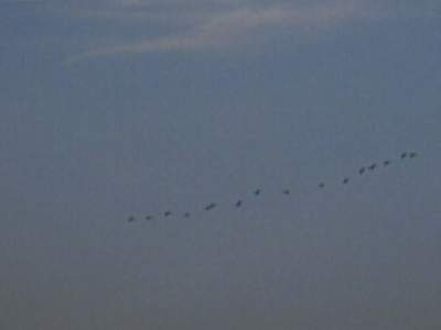 PHTO0219.JPG