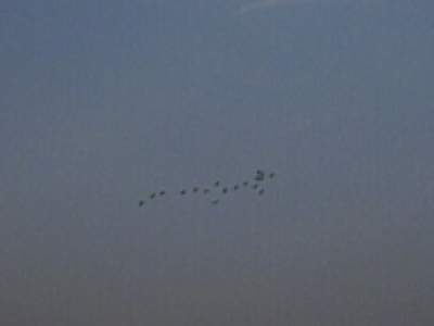 PHTO0220.JPG