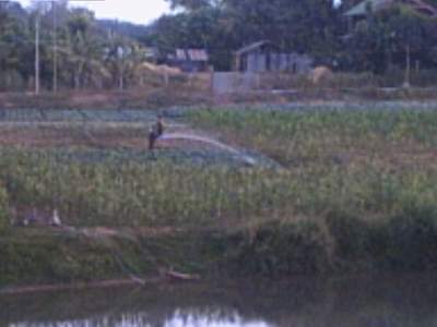 PHTO0221.JPG