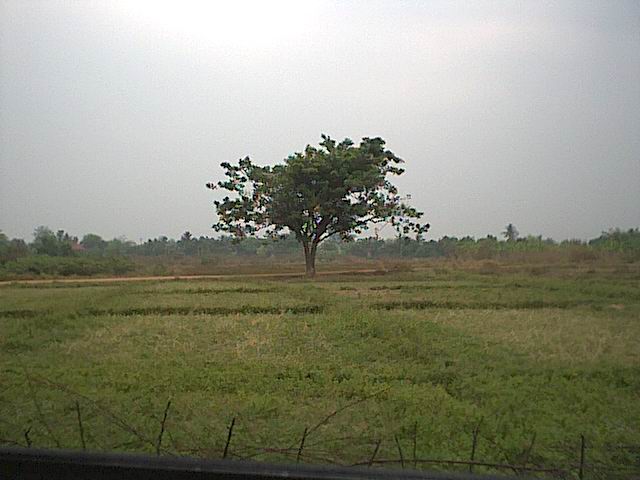 img008.jpg