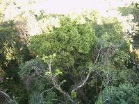 PHTO0177.JPG