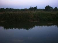 PHTO0216.JPG
