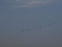 PHTO0219.JPG