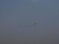 PHTO0220.JPG