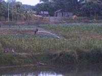 PHTO0221.JPG