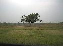 img008.jpg