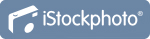 View My Portfolio