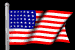 WAVE THIS FLAG