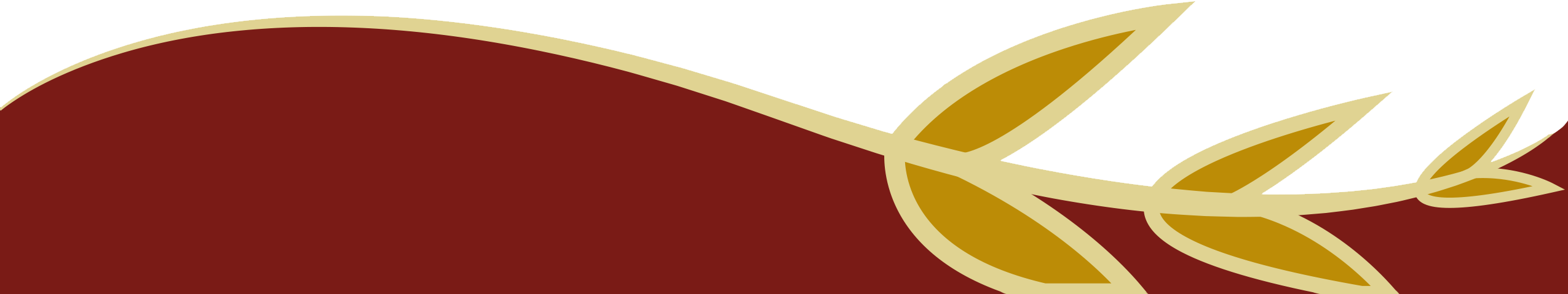 Footer Swirl Image
