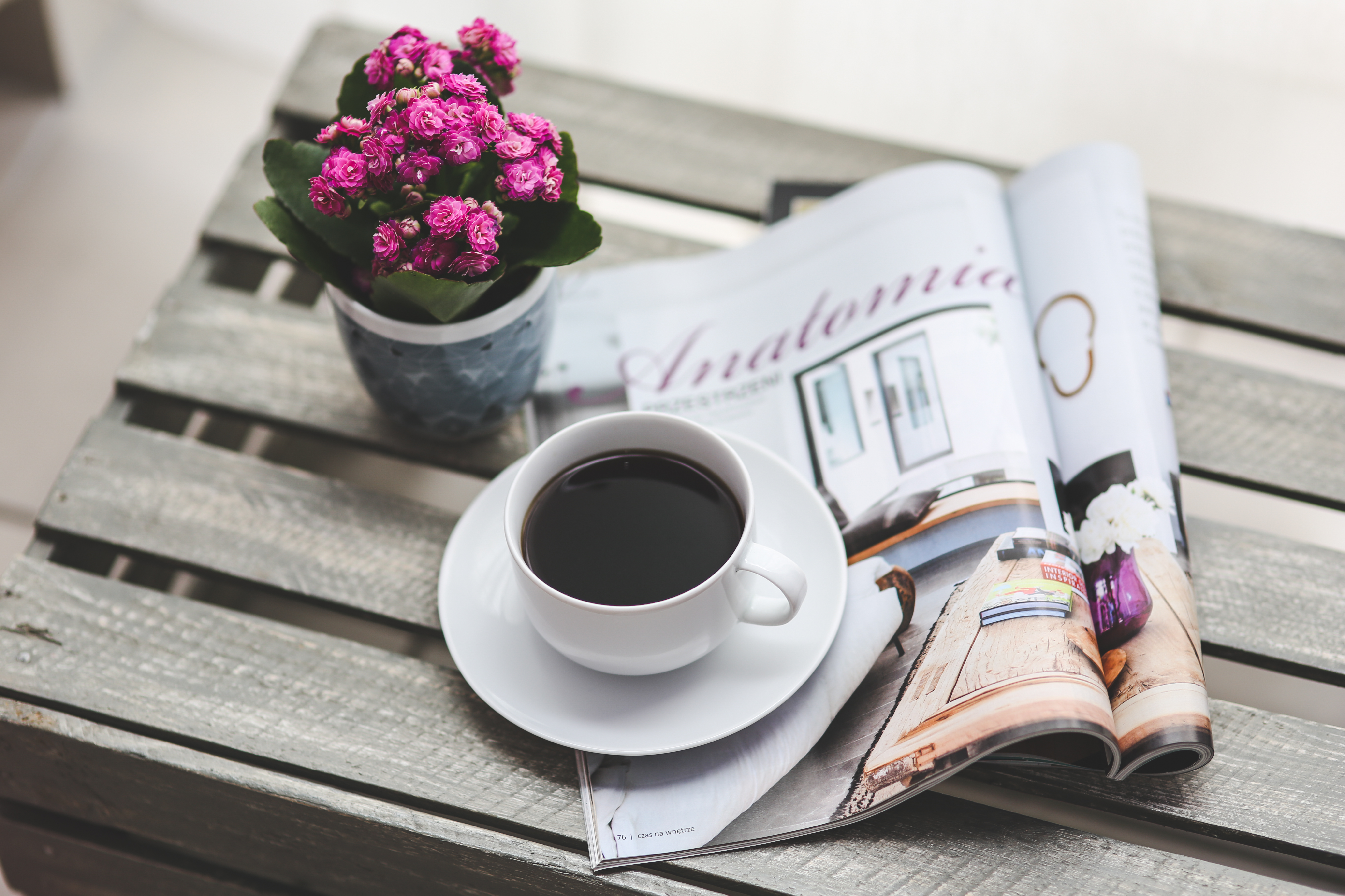 coffee flower