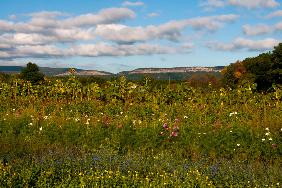 Beautiful Hudson Valley landscape