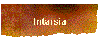 Intarsia