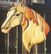 wpe15639.gif (189299 bytes)