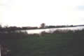 sava