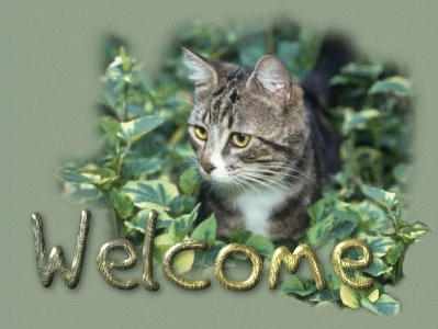 welcome