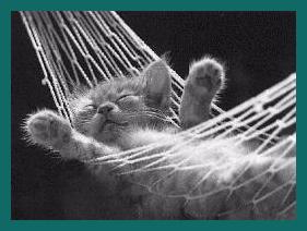 napping