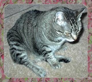 keekee