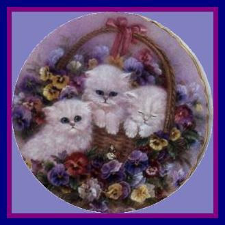 cat-flowers