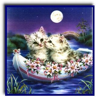 sailing