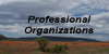 professionalorganization