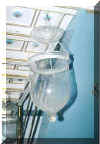 one of the many lamps