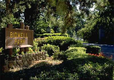 Bidwell Park