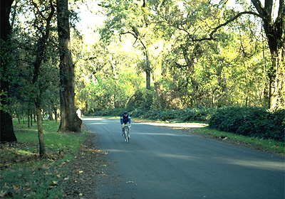Bidwell Trail