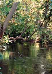 Big Chico Creek