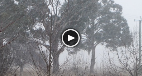 Video
              thumbnail