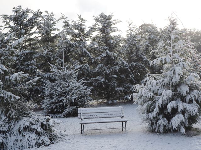 Snowy garden seat