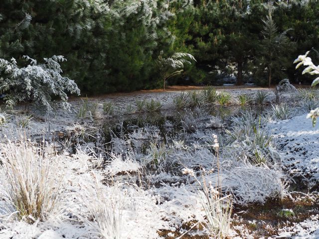 Snow in a sheltered corner