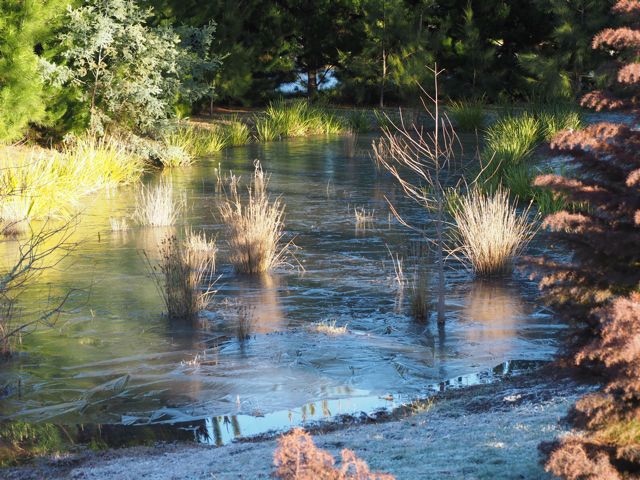 Frozen pond