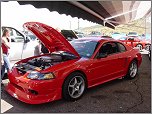 Ford SVT Mustang Cobra R