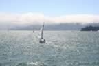 Sailboats_in_the_sun.jpg (41kb)