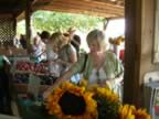 FruitFarmEvent020.jpg (37kb)