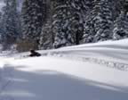 Tim_Buried_Again.jpg (49kb)