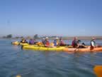 Kayak2.jpg (36kb)