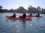Kayak3.jpg (45kb)