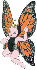 Baby Fae